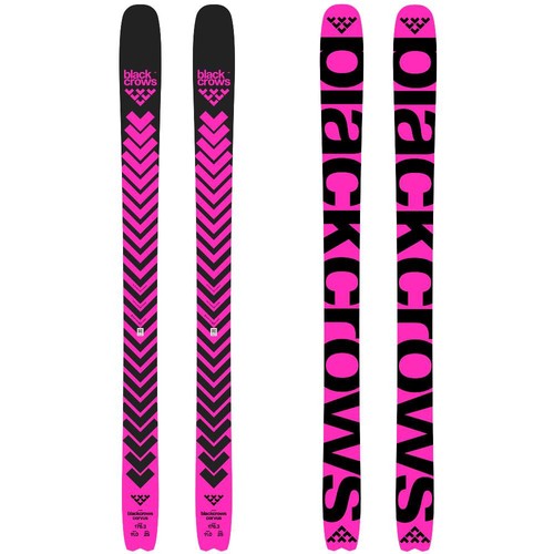 Black crows corvus - black,